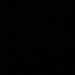 Meet your Posher, Joanne